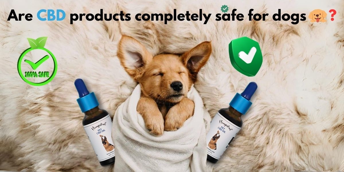 buy CBD oil for pets Online